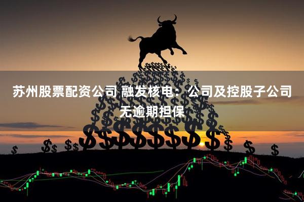 苏州股票配资公司 融发核电：公司及控股子公司无逾期担保