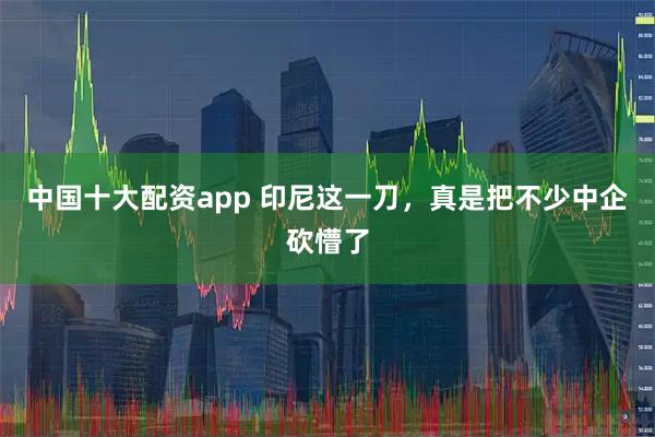 中国十大配资app 印尼这一刀，真是把不少中企砍懵了