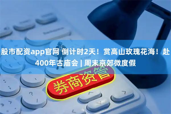 股市配资app官网 倒计时2天！赏高山玫瑰花海！赴400年古庙会 | 周末京郊微度假